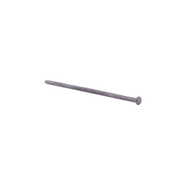 Grip-Rite Common Nail, 10 in L, 140D, Steel, Hot Dipped Galvanized Finish 10HGSPK